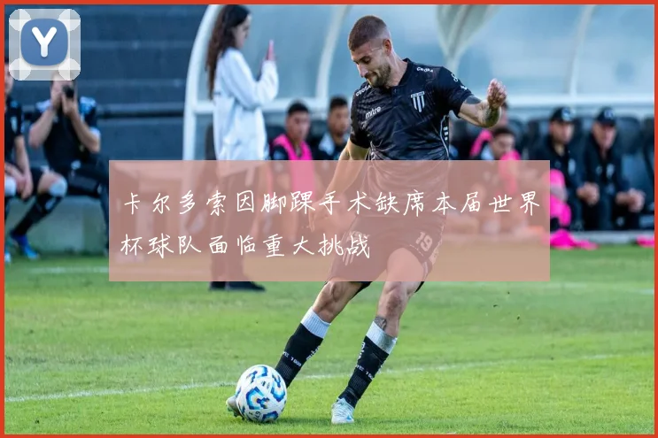 卡尔多索因脚踝手术缺席本届世界杯球队面临重大挑战