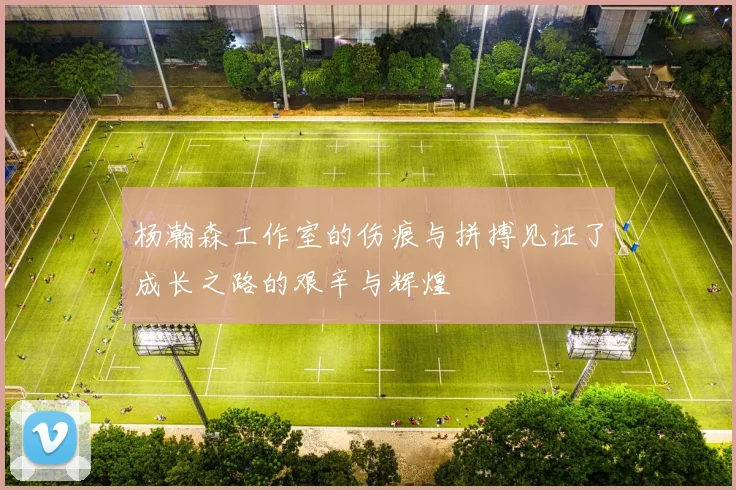 杨瀚森工作室的伤痕与拼搏见证了成长之路的艰辛与辉煌