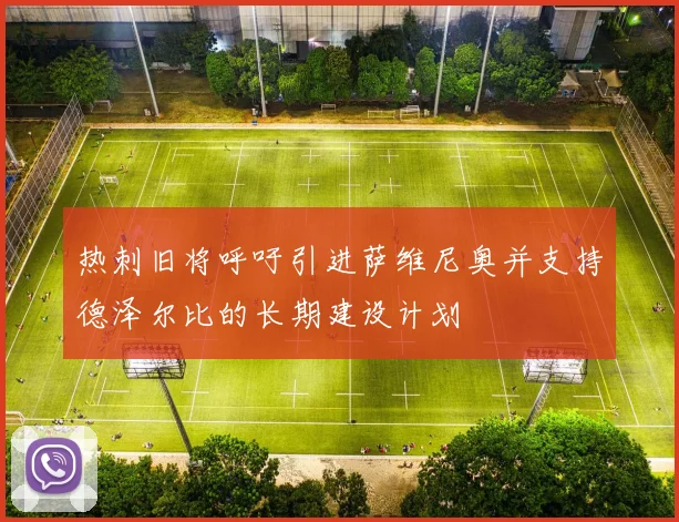 热刺旧将呼吁引进萨维尼奥并支持德泽尔比的长期建设计划