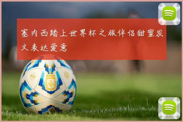 塞内西踏上世界杯之旅伴侣甜蜜发文表达爱意