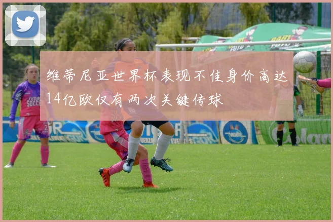 维蒂尼亚世界杯表现不佳身价高达14亿欧仅有两次关键传球