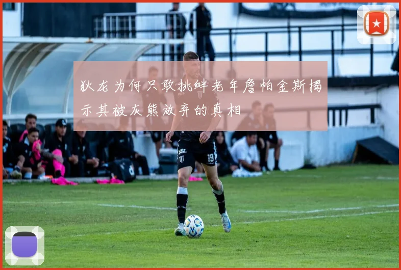 狄龙为何只敢挑衅老年詹帕金斯揭示其被灰熊放弃的真相